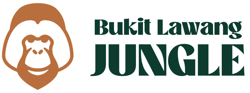 Bukit Lawang Jungle